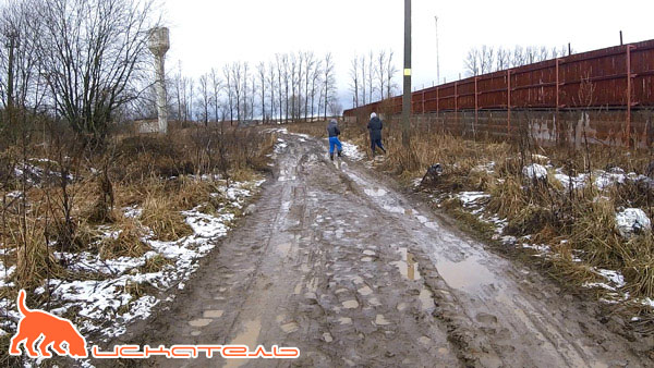 Аварийный участок водопровода проходит вдоль дороги